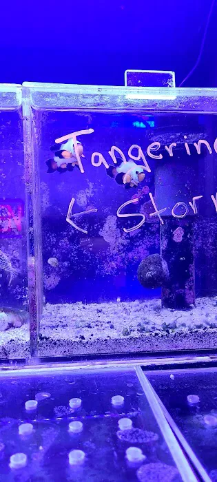 Reef Shac Picture 9