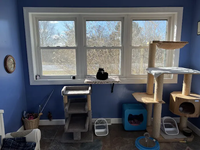 Mid Atlantic Cat Hospital Picture 6