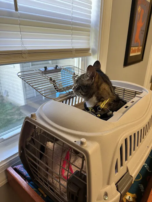 Mid Atlantic Cat Hospital Picture 10
