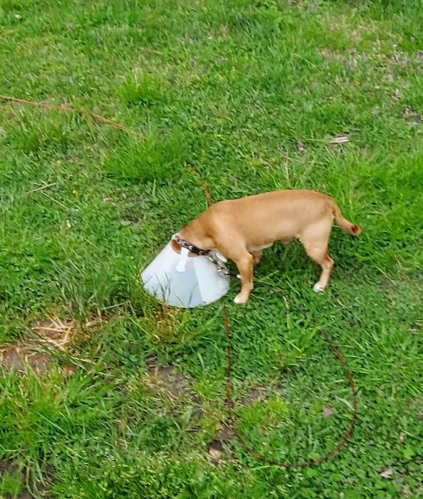 Shore Pet Surgery Picture 7