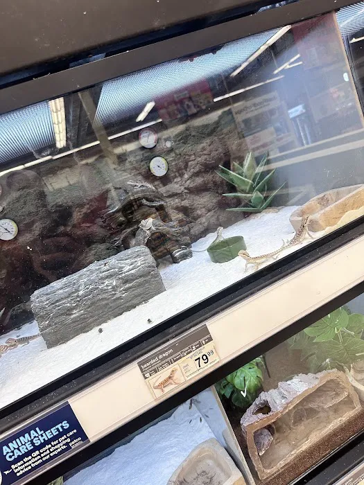 Petco Picture 2