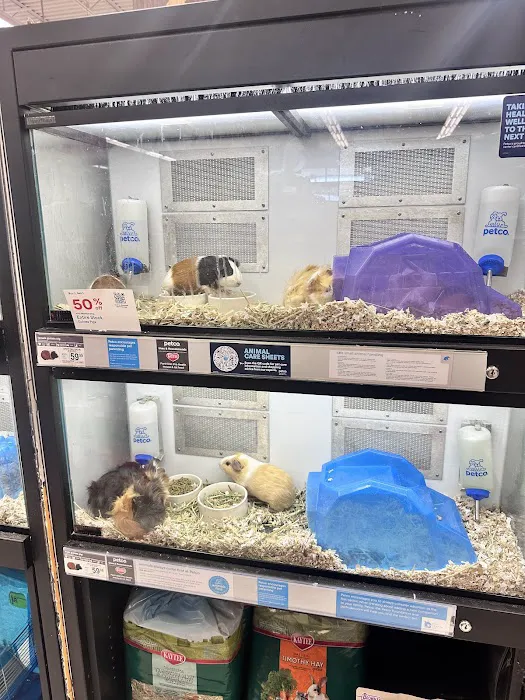 Petco Picture 5
