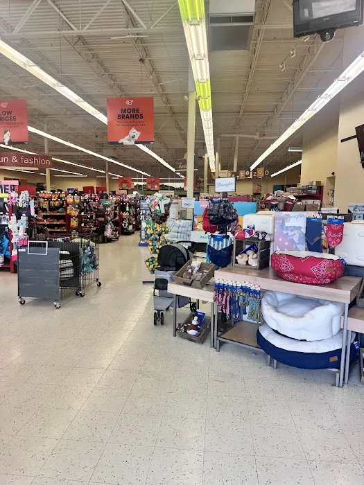 Petco Picture 4