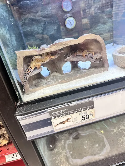 Petco Picture 7