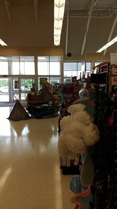 Petco Picture 8