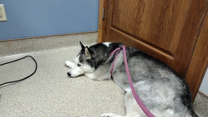 Donegal Animal Hospital Picture 9