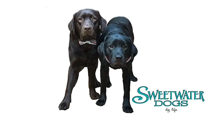 Sweetwater Dogs Picture 1
