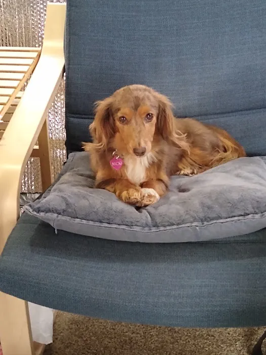 Companion Animal hospital Picture 8