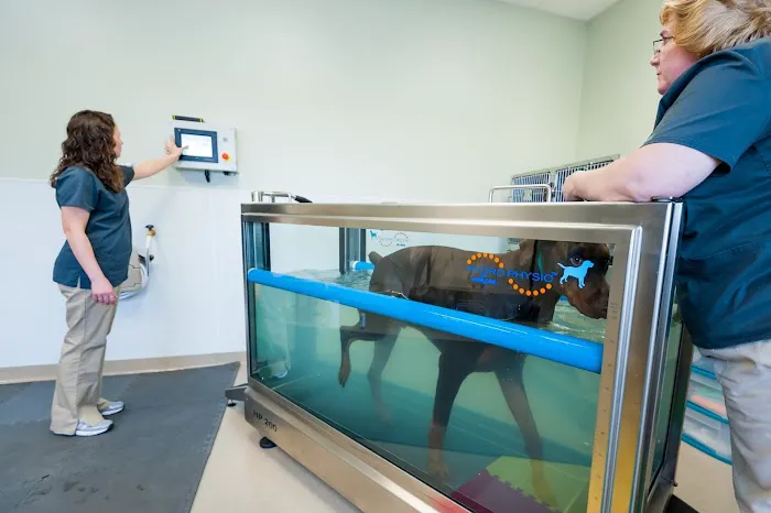 Companion Animal hospital Picture 10