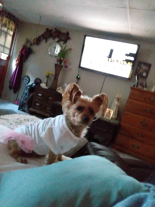 Aziz Animal Hospital Picture 5
