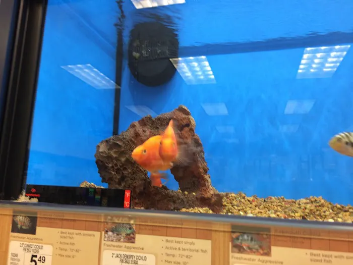 Petco Picture 3