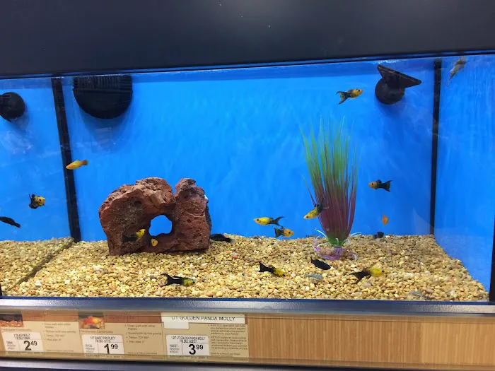 Petco Picture 4