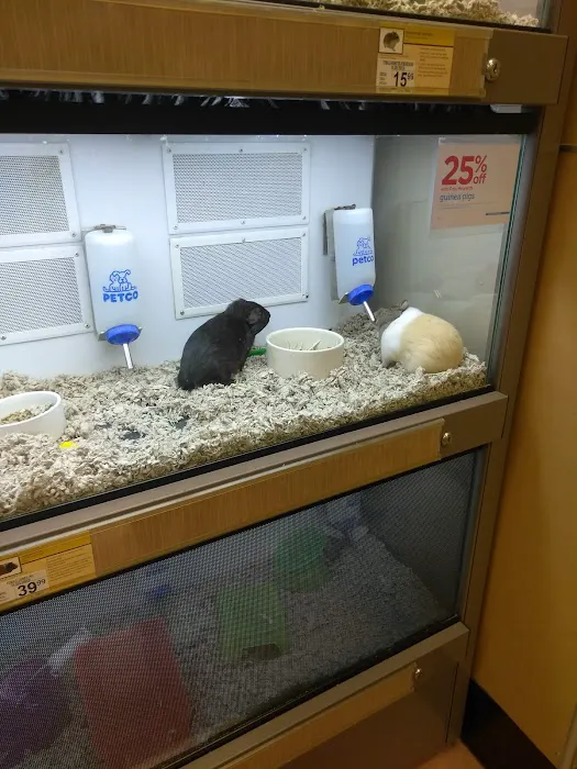 Petco Picture 8