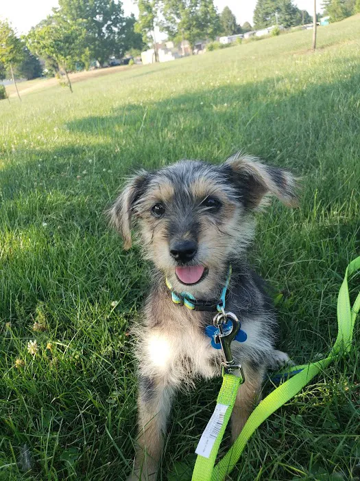 Elizabethtown Animal Hospital Picture 10