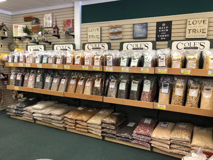 Bird Watcher Supply Company Picture 9