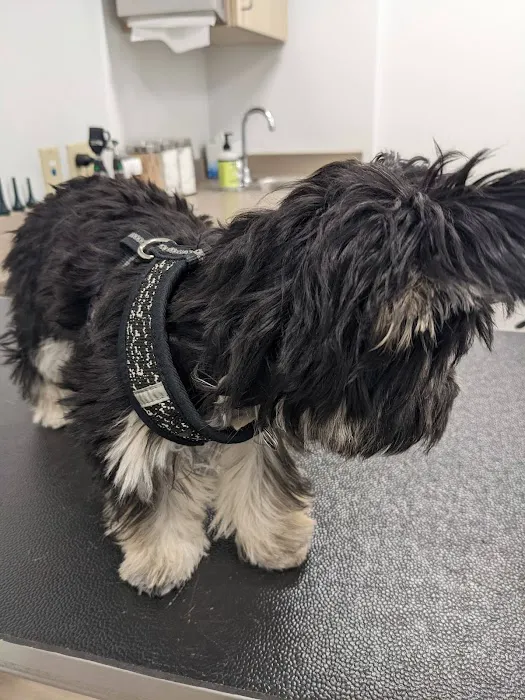 Covenant Veterinary Care Picture 4