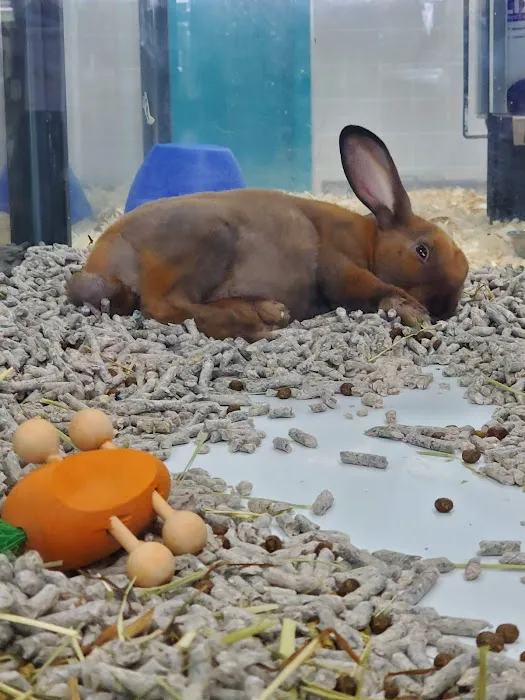Pet Supermarket Picture 2