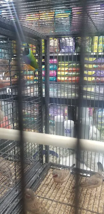 Pet Supermarket Picture 3