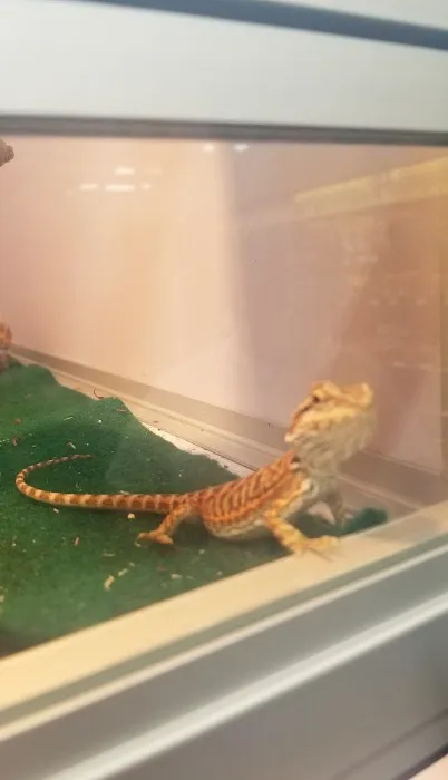Pet Supermarket Picture 4