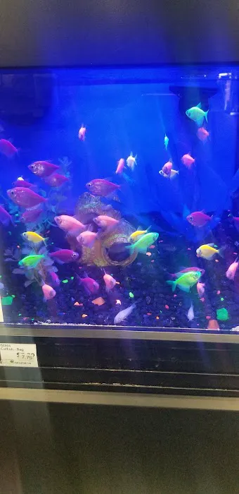 Pet Supermarket Picture 5