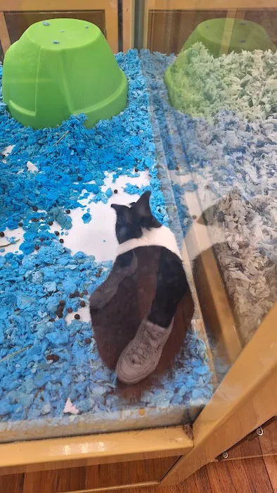 Pet Supermarket Picture 7