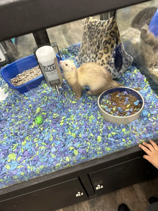 Pet Supermarket Picture 8