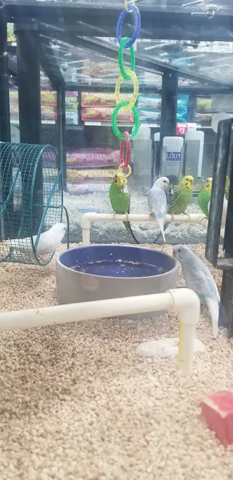 Pet Supermarket Picture 9