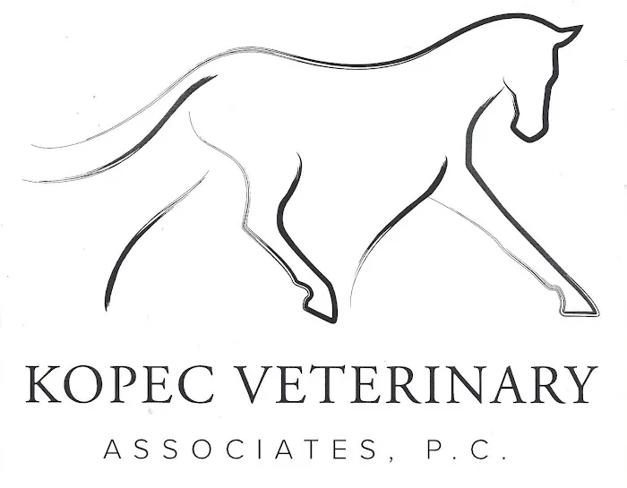 Kopec Veterinary Associates, P.C. Picture 2