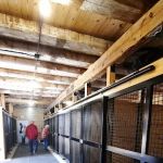 Kopec Veterinary Associates, P.C.