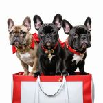 Royal K9 Emporium, Inc.