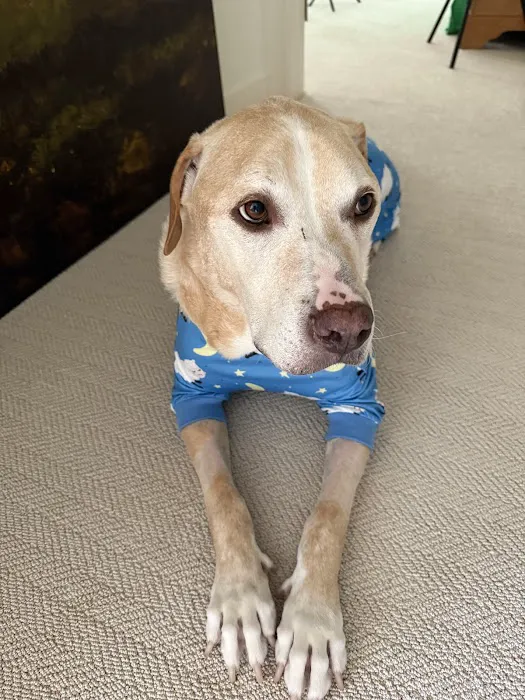 Hershey Animal Emergency Center Picture 8