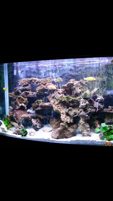 Krohne Tanks and Ponds Picture 6