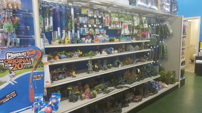 Pet Supermarket Picture 1