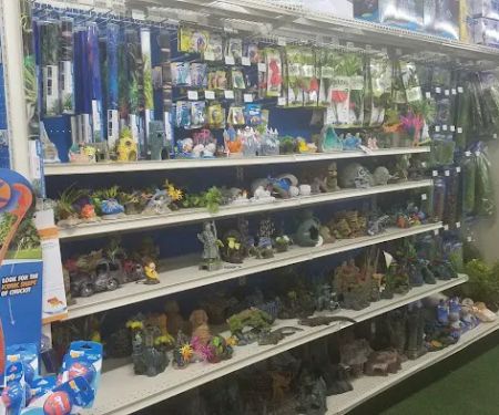 Pet Supermarket