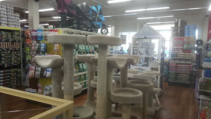 Pet Supermarket Picture 3