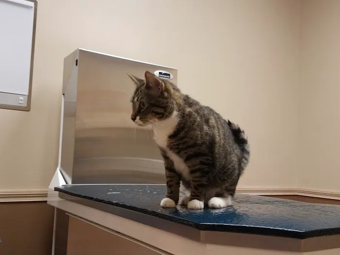 Animal Health Care Center Picture 2