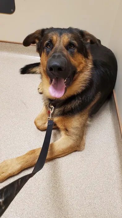 Animal Health Care Center Picture 8