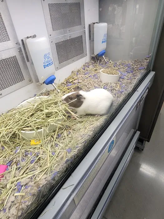 Petco Picture 6