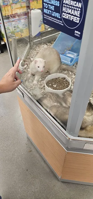 Petco Picture 9