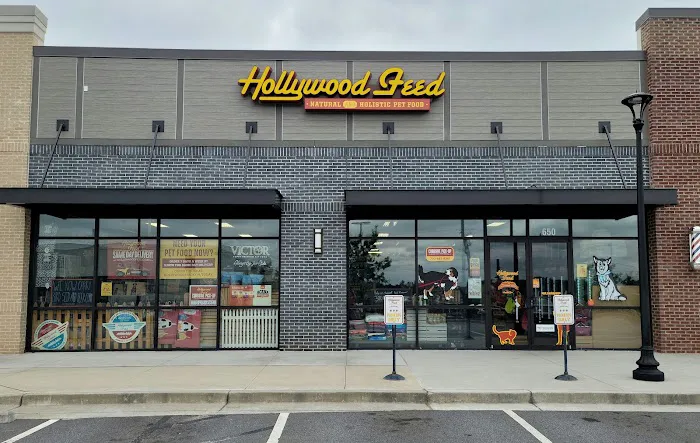 Hollywood Feed Picture 6