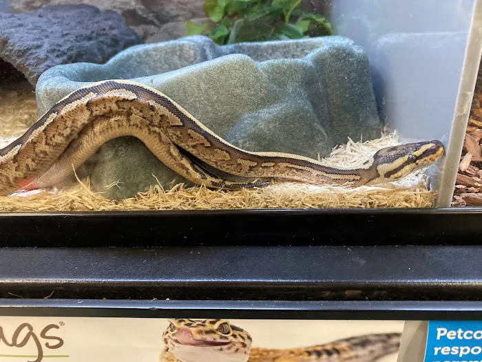 Petco Picture 1