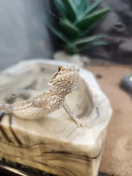Petco Picture 3
