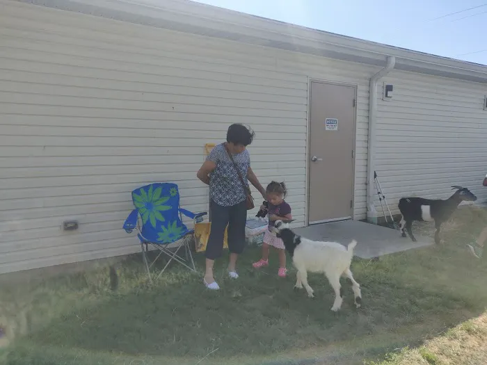 Animal Hospital of Dauphin County Picture 1