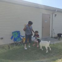 Animal Hospital of Dauphin County ico