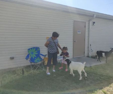 Animal Hospital of Dauphin County