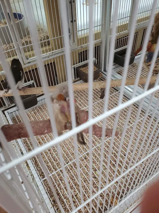 Pet Supermarket Picture 5