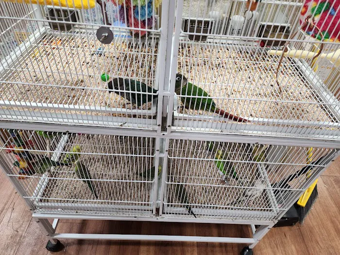 Pet Supermarket Picture 7