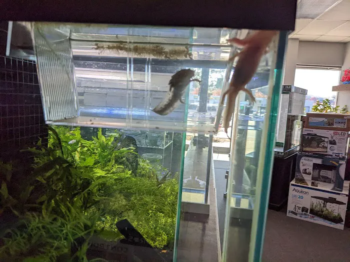 Optimum Aquarium Picture 1