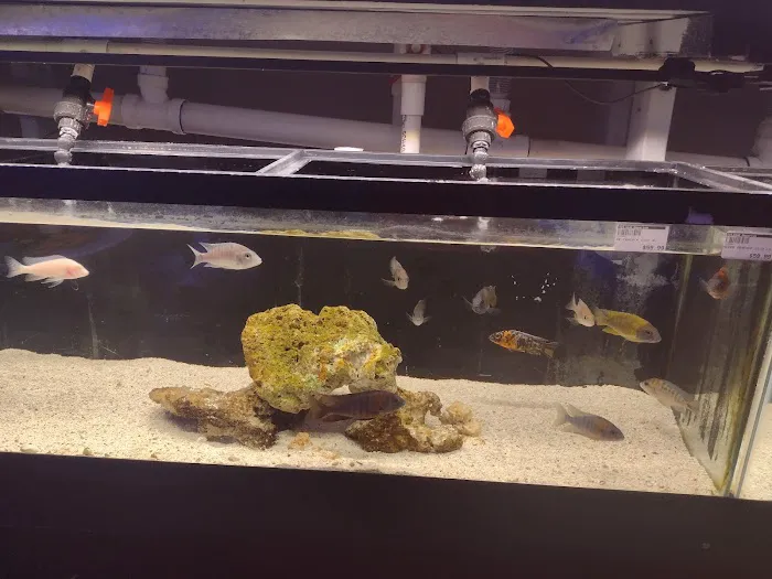 Optimum Aquarium Picture 3
