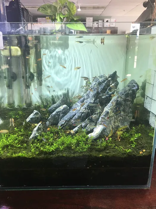 Optimum Aquarium Picture 4